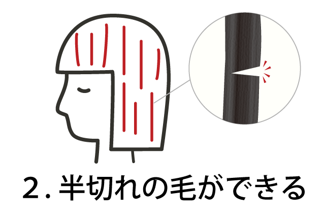 ３．半切れの毛ができる。