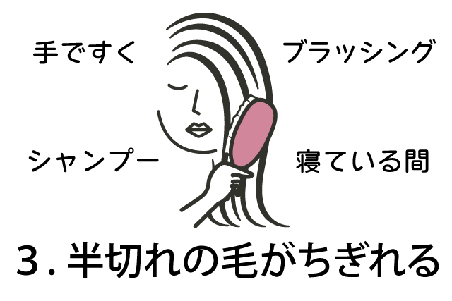 ４．ブラッシング・シャンプー・手ですく・寝ている間に、半切れの毛がちぎれる。
